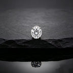Stud Earring