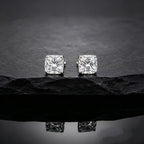 Stud Earring