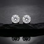 Stud Earring